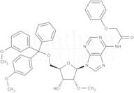 5''-O-DMT-2''-O-methyl-N6-phenoxyacetyladenosine