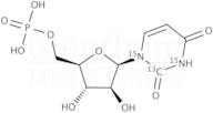 1-b-D-Arabinofuranosyluracil 5''-monophosphate