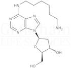 N6-(6-Aminohexyl)-2''-deoxyadenosine