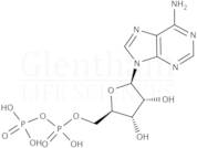 Adenosine 5''-diphosphate