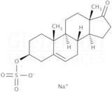 Prasterone sulfate sodium salt