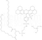 Sulforhodamine 101 DHPE