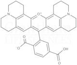 6-Carboxy-X-rhodamine