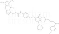 3-Bodipy-propanoic Acid N-Phenethylspiperone Amide
