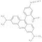 Tetramethylrhodamine-5-isothiocyanate