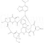 N-(7-Nitrobenzofurazan-4-yl)phallacidin