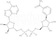 beta-Nicotinamide adenine dinucleotide