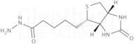 (+)-Biotin hydrazide