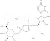 Uridine 5''-diphosphoglucuronic acid triammonium salt