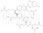 Snap-8, Acetyl Glutamyl Heptapeptide-3