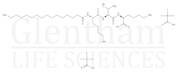 Syn-Coll, Palmitoyl Tripeptide-5