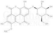 Stachyanthuside A