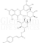 Quercetin 3-O-β-D-(6''''-p-coumaroyl)glucopyranosyl(1-2)-α-L-rhamnopyranoside