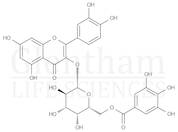 Quercetin 3-O-(6''''-galloyl)-beta-D-galactopyranoside