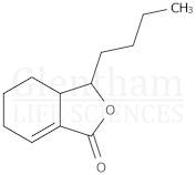 Neocindilide