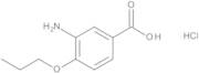 3-Amino-4-propoxybenzoic Acid Hydrochloride