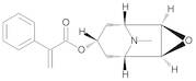 (1R,2R,4S,5S,7s)-9-Methyl-3-oxa-9-azatricyclo[3.3.1.02,4]non-7-yl 2-Phenylprop-2-enoate (Apohyoscine)