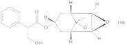 Hyoscine N-Oxide Hydrobromide