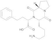(2S)-2-[(3S,8aS)-3-(4-Aminobutyl)-1,4-dioxohexahydropyrrolo[1,2-a]pyrazin-2(1H)-yl]-4-phenylbutanoic Acid (S,S,S-Diketopiperazine)
