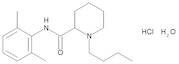 Bupivacaine Hydrochloride Monohydrate