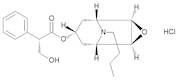 (1R,2R,4S,5S,7s)-9-Butyl-3-oxa-9-azatricyclo[3.3.1.02,4]nonan-7-yl (2S)-3-Hydroxy-2-phenylpropan...