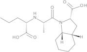 (2S,3aS,7aS)-1-[(2S)-2-[[(1S)-1-Carboxybutyl]amino]propanoyl]octahydro-1H-indole-2-carboxylic Acid (Perindoprilat)