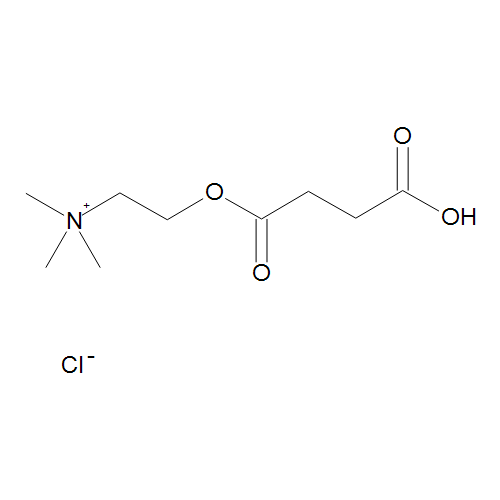 Succinylmonocholine Chloride