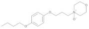 Pramoxine N-Oxide