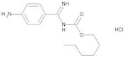Hexyl N-(4-Aminobenzenecarboximidoyl)carbamate Hydrochloride