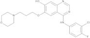 4-[(3-Chloro-4-fluorophenyl)amino]-6-[3-(morpholin-4-yl)propoxy]quinazolin-7-ol (O-Demethylgefitinib)