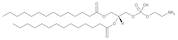 1,2-Dimyristoyl-sn-glycero-phosphoethanolamine (DMPE)