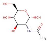 2-Acetamido-2-deoxy-α-D-glucopyranose, 99+%