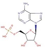 Adenosine 5'-monophosphate, 99%