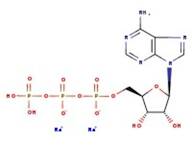 Adenosine 5'-triphosphate, disodium salt hydrate, 98%