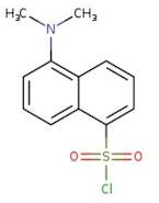 Dansyl Chloride 98%