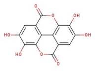 Ellagic acid, 97%