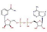 β-Nicotinamide adenine dinucleotide hydrate, 98+%