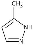 3-Methylpyrazole, 99%