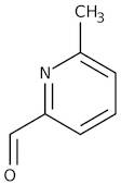 6-Methyl-2-pyridinecarboxaldehyde, 97%