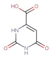 Orotic acid monohydrate, 98%