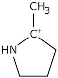 2-Methyl-1-pyrroline, 98%