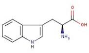 L(-)-Tryptophan 99%