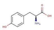 L-Tyrosine, +99%