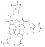 Cytochrome C