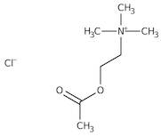 Acetylcholine Chloride, 99%