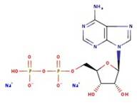 Adenosine 5'-diphosphate, disodium salt hydrate, 98%