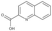 Quinaldic acid, 99%