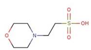 MES hydrate, 99+% for biochemistry