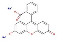 Fluorescein, disodium salt, pure