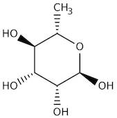 L(+)-Rhamnose monohydrate, 99%